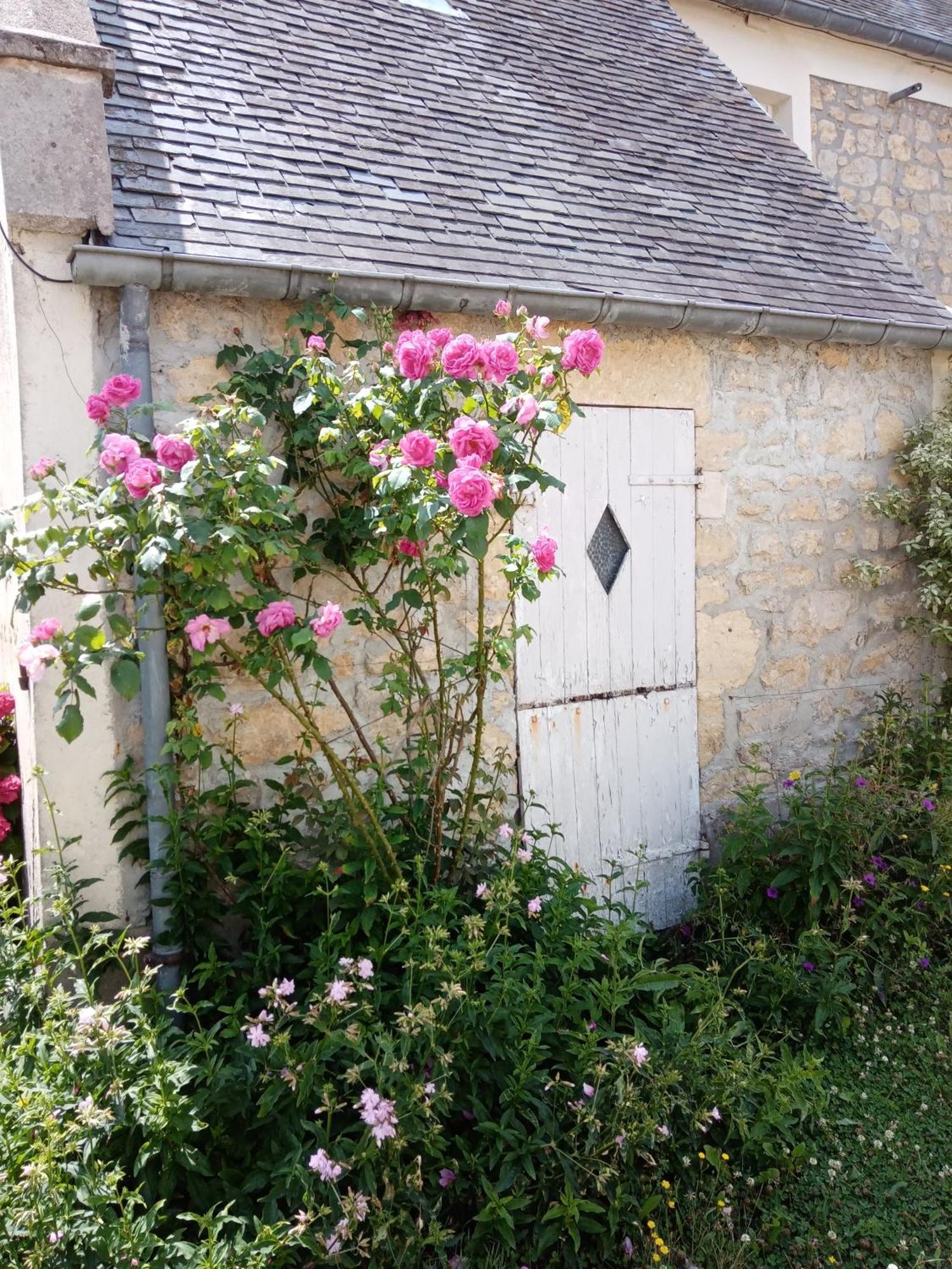 Rose Garden Bayeux Bed & Breakfast ภายนอก รูปภาพ