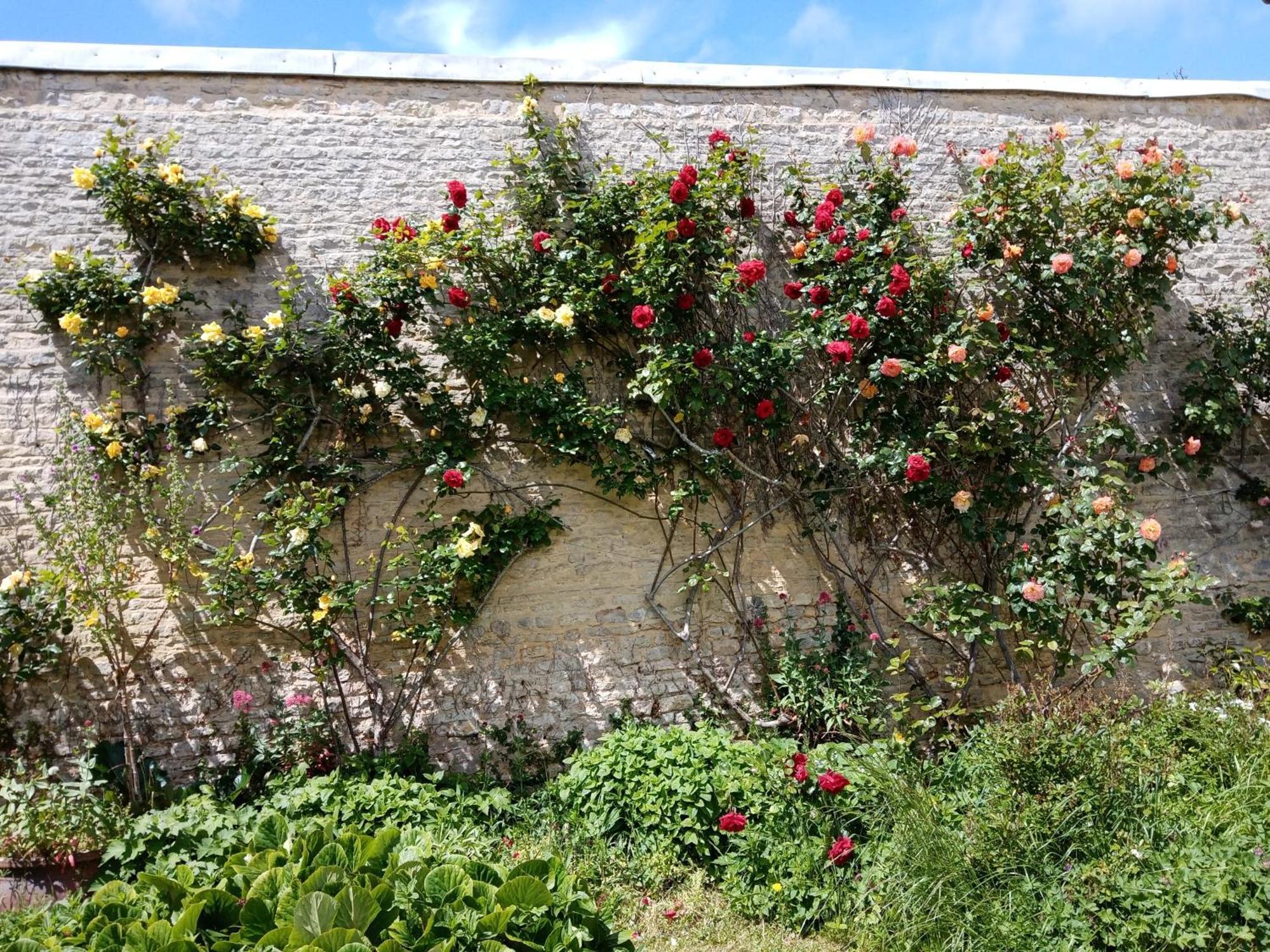 Rose Garden Bayeux Bed & Breakfast ภายนอก รูปภาพ