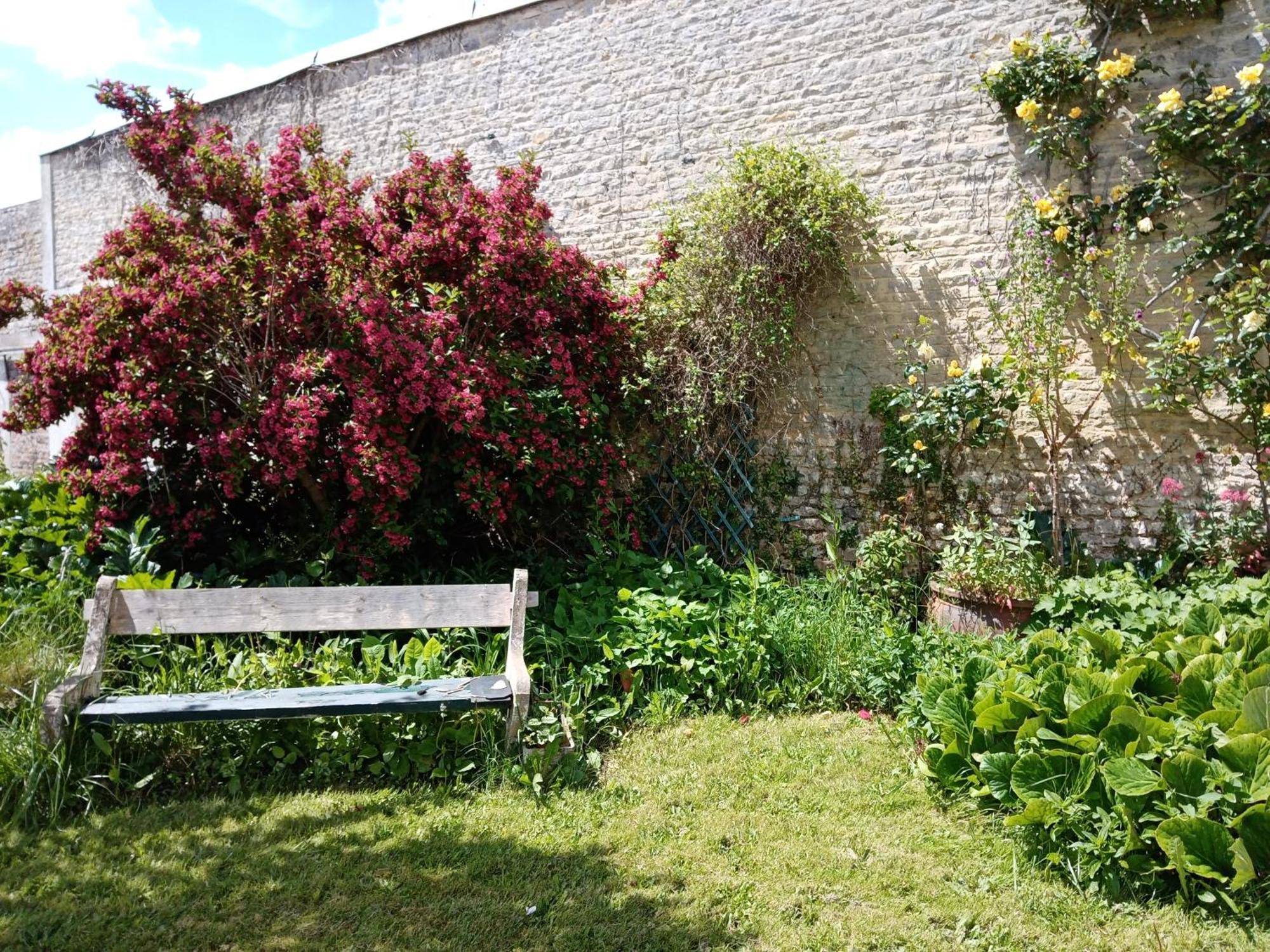Rose Garden Bayeux Bed & Breakfast ภายนอก รูปภาพ